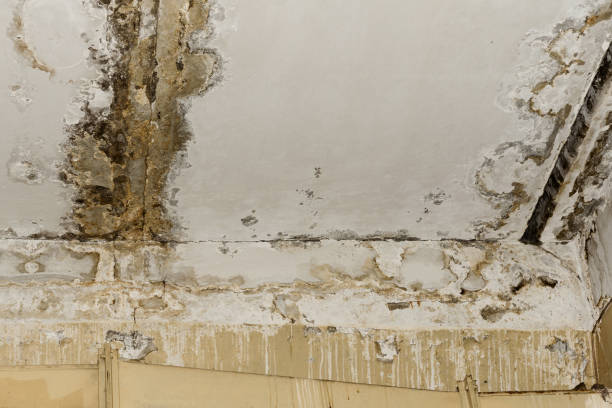 Best 24-hour water damage restoration  in Kellogg, ID